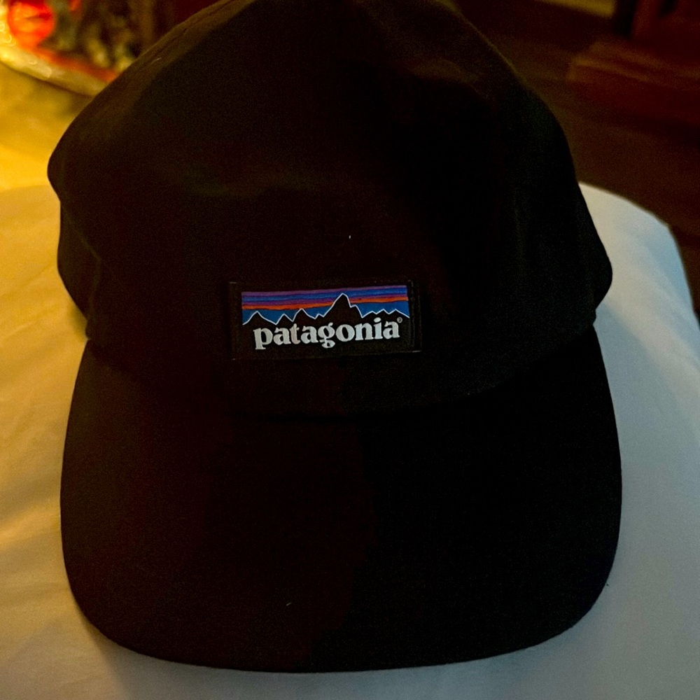 Patagonia Hat - Black